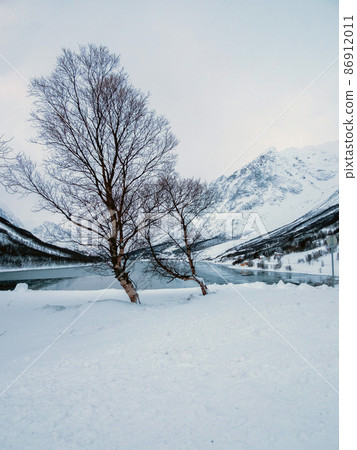 Kjosen, Troms og Finnmark, Norway 86912011