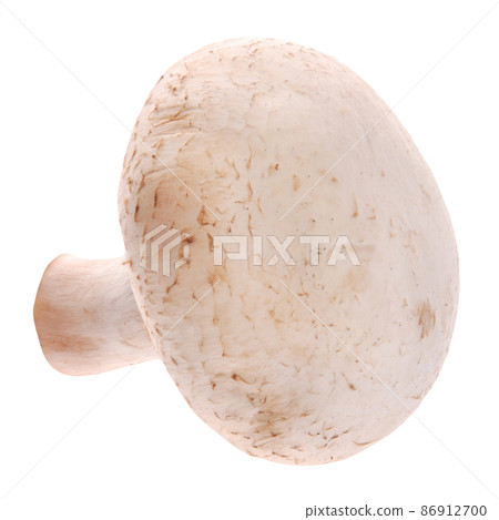 Pile of Mushrooms on white. 86912700