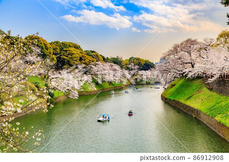 Sakura in Chidorigafuchi, Chiyoda-ku, Tokyo Sakura in Chidorigafuchi, Chiyoda-ku, Tokyo 86912908