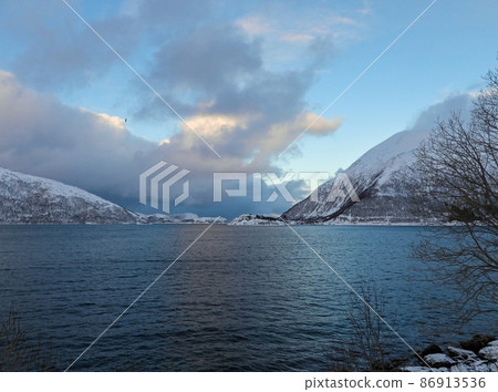 Landscape in Winter, Kvaloya, Norway Landscape in Winter, Kvaloya, Norway 86913536