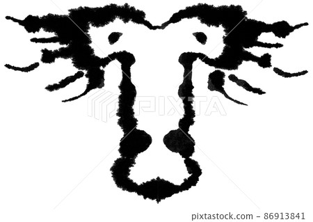 Rorschach Test 86913841