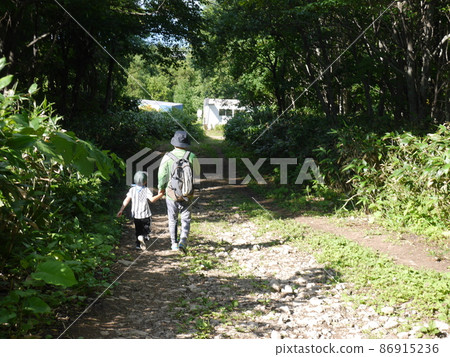 Parent and child going down the mountain road (back view) Parent and child going down the mountain road (back view) 86915236