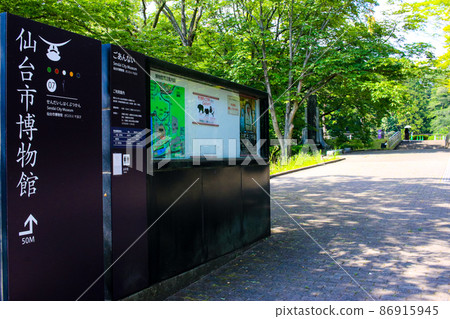 通往仙台市博物館的街道 86915945