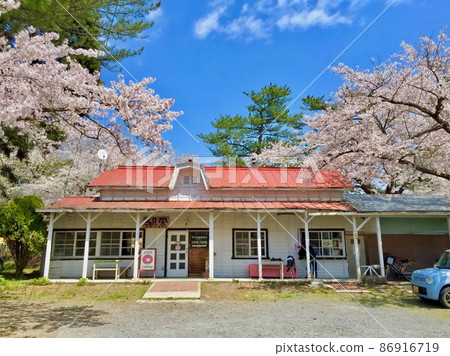 津輕鐵道蘆之公園站大樓櫻花下 86916719