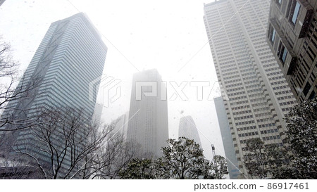 東京都廳舍雪景 東京都廳舍雪景 86917461