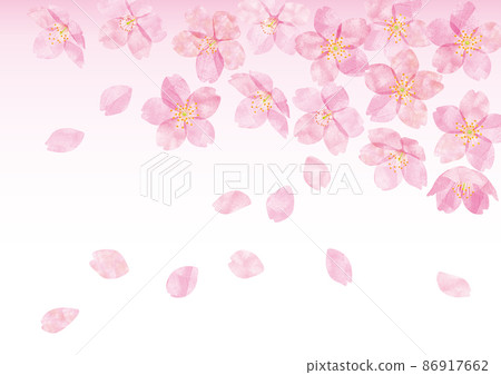 Sakura Sakura no Hana 06 Sakura Sakura no Hana 06 86917662