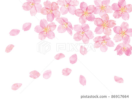 Sakura Sakura no Hana 05 Sakura Sakura no Hana 05 86917664