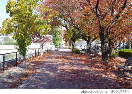 View of the park along the Tenma River in Hiroshima in autumn View of the park along the Tenma River in Hiroshima in autumn 86917774