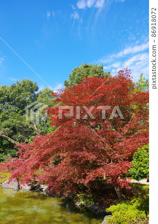 Nishiyama Park Shenyang Garden 86918072