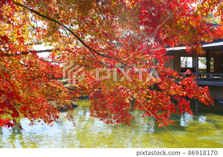 Nishiyama Park Shenyang Garden Nishiyama Park Shenyang Garden 86918170