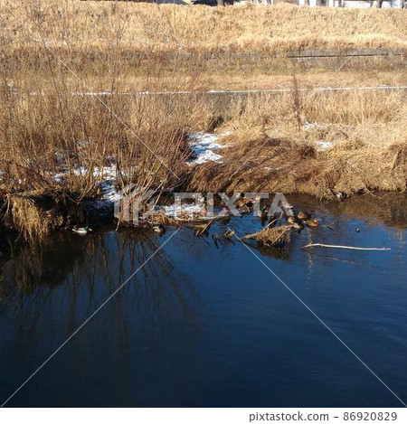 北海道帶廣市帶廣川 86920829