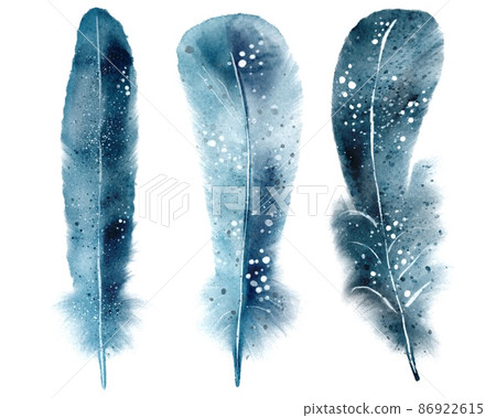 Set of three blue feathers watercolor illustration - Stock Illustration ...
