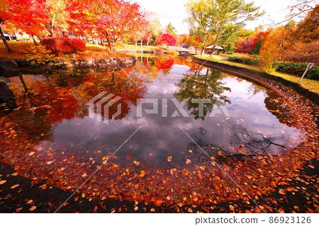 Historical Village of Hokkaido dyed in late autumn 86923126