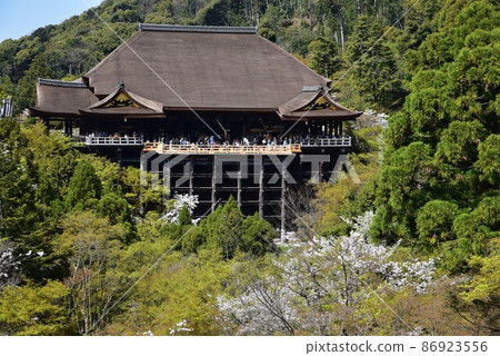 Kyoto Higashiyama Sakura Blooming Kiyomizudera 86923556