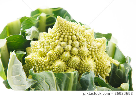 Romanesco Romanesco 86923698