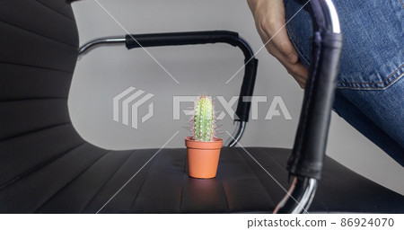 Concept. A man holds a cactus as a symbol of rectal pain. Varicose veins of the lower intestine. Pain in the rectum, hemorrhoids and pain in the excretory system of the body. Proctology Concept. A man holds a cactus as a symbol of rectal pain. Varicose veins of the lower intestine. Pain in the rectum, hemorrhoids and pain in the excretory system of the body. Proctology 86924070