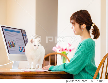 Females and cats having an online meeting 86924858