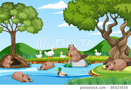 Forest background with beavers and ducks 86925656