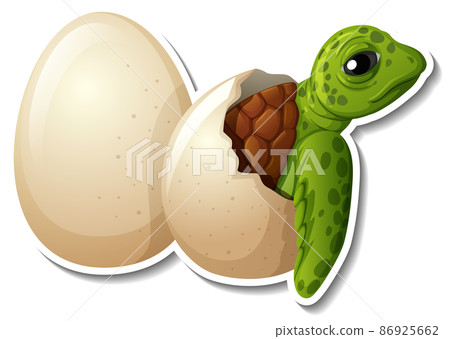 Baby turtle hatching from an egg animal cartoon sticker Baby turtle hatching from an egg animal cartoon sticker 86925662