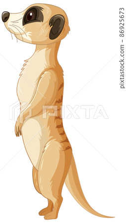 br_nu_meerkats-07.eps br_nu_meerkats-07.eps 86925673