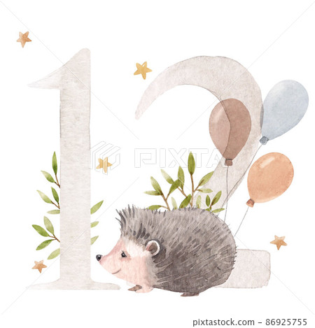 Beautiful stock illustration with watercolor hand drawn number 12 and cute hedgehog animal for baby clip art. Twelve month, years. Beautiful stock illustration with watercolor hand drawn number 12 and cute hedgehog animal for baby clip art. Twelve month, years. 86925755