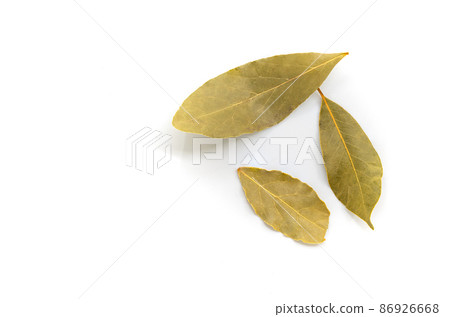 Top view image of organic Bay leaves on white background, flat lay design with blank space for text. Close up dried Bay leaves in details line on its skin 86926668