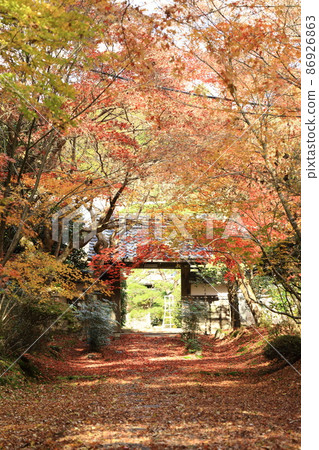 深秋的福生寺 86926863