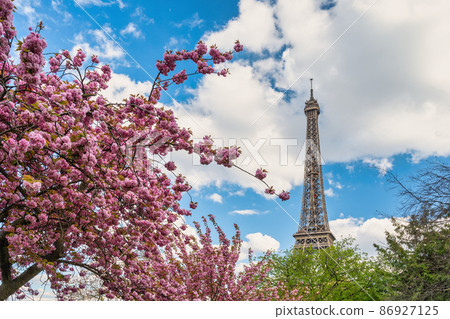 Paris France, city skyline at Eiffel Tower and old building architecture with spring cherry blossom flower 86927125