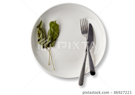 White ceramic plate dish decorated with dried currant leaves 86927221