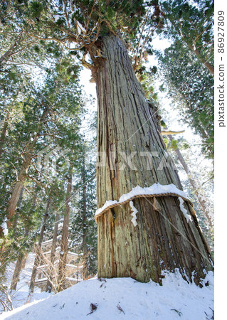 Haguroyama 在冬天陽光明媚的 Jijisugi 和五層寶塔山形縣 86927809