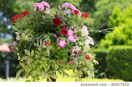 Garden flower decoration Garden flower decoration 86927929