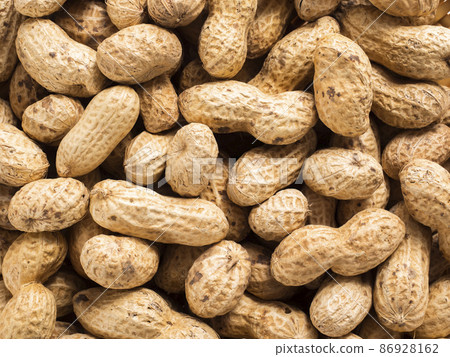 Peanut with shell 86928162