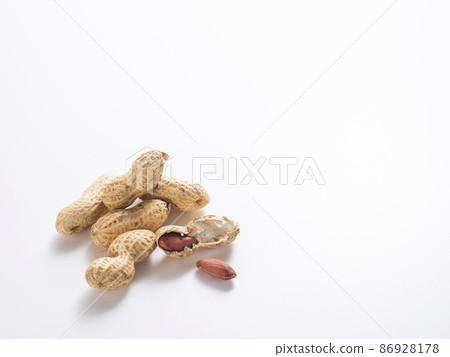 花生殼 86928178