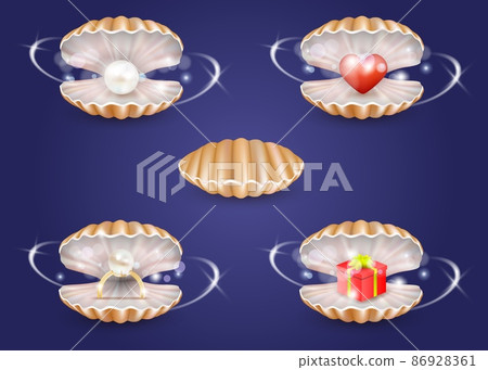 Vector realistic pearl seashells with jewelry and gift box Vector realistic pearl seashells with jewelry and gift box 86928361