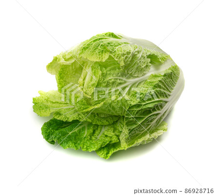 Whole Chinese Cabbage, Napa Cabbage or Wombok 86928716