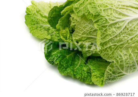 Whole Chinese Cabbage, Napa Cabbage or Wombok 86928717