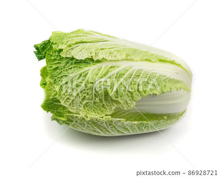 Whole Chinese Cabbage, Napa Cabbage or Wombok Whole Chinese Cabbage, Napa Cabbage or Wombok 86928721