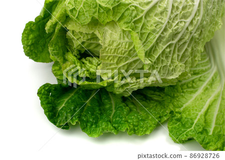 Whole Chinese Cabbage, Napa Cabbage or Wombok Whole Chinese Cabbage, Napa Cabbage or Wombok 86928726