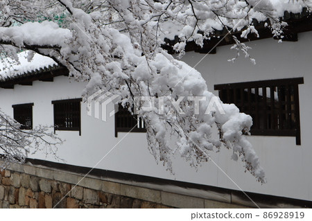 Scenery of a building with snow-covered tree branches, white walls and lattice windows Scenery of a building with snow-covered tree branches, white walls and lattice windows 86928919