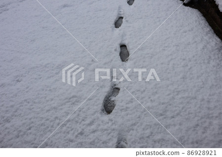 純白雪地上的腳印風景 純白雪地上的腳印風景 86928921