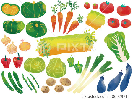 Watercolor style vegetable set (no sample characters) 86929711