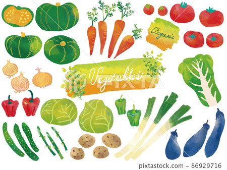 Watercolor style vegetable set 86929716