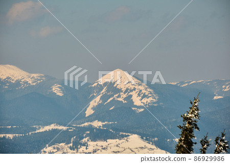 Winter landscape with high mountain hills covered with evergreen pine forest after heavy snowfall on cold wintry day. 86929986