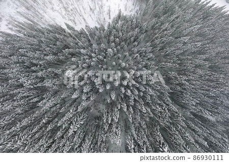 Top down aerial view of snow covered evergreen pine forest after heavy snowfall in winter mountain woods on cold quiet day. 86930111