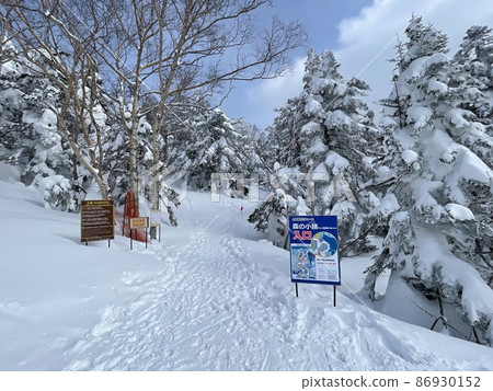 Grandeco Ski Resort in Urabandai, Fukushima Prefecture in February 2022. "Forest alley" newly installed at the top of the course Grandeco Ski Resort in Urabandai, Fukushima Prefecture in February 2022. "Forest alley" newly installed at the top of the course 86930152