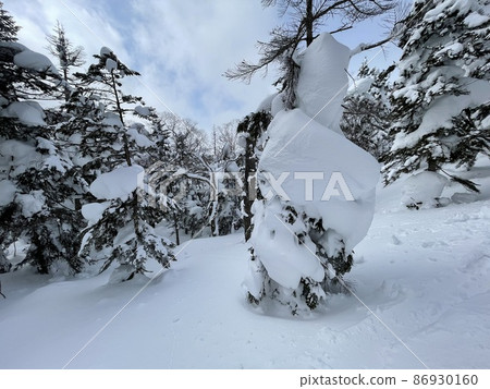 Grandeco Ski Resort in Urabandai, Fukushima Prefecture in February 2022. "Forest alley" newly installed at the top of the course Grandeco Ski Resort in Urabandai, Fukushima Prefecture in February 2022. "Forest alley" newly installed at the top of the course 86930160