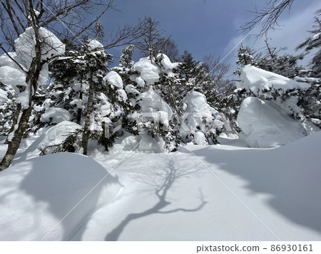 Grandeco Ski Resort in Urabandai, Fukushima Prefecture in February 2022. "Forest alley" newly installed at the top of the course Grandeco Ski Resort in Urabandai, Fukushima Prefecture in February 2022. "Forest alley" newly installed at the top of the course 86930161