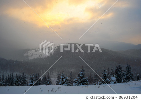 Gloomy winter landscape with mountain hills covered with evergreen pine forest after heavy snowfall on cold quiet evening. 86931204
