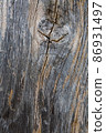 The beautiful texture of a dried old tree. 86931497