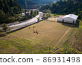 Man and cows on the football field. 86931498
